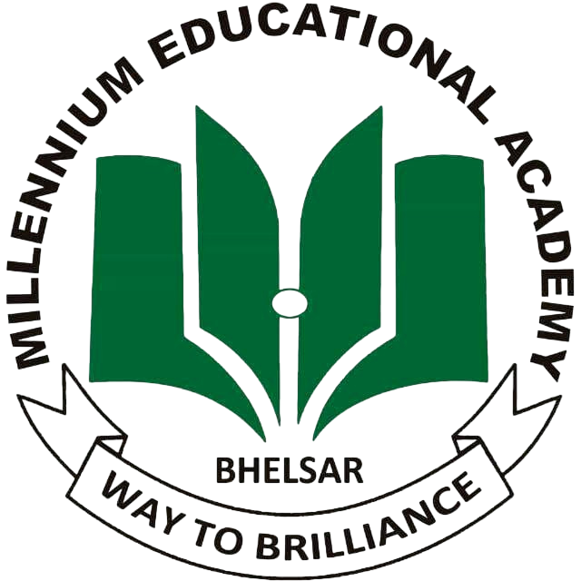 Millennium Educational Academy